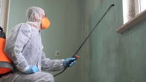 Mold Remediation for Rental Properties in Richville, OH